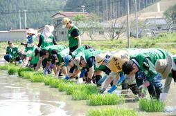 田植え